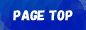 pagetop